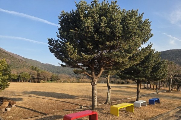 이용자 중심 환경 개선, 현장에서 직접 실천